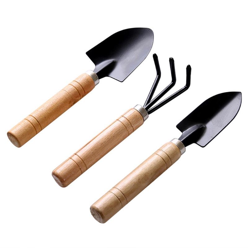 3pcs 미니 정원 삽 레이크 스페이드 Erramien - Bonsai Garden Rake 리뷰 및 가격