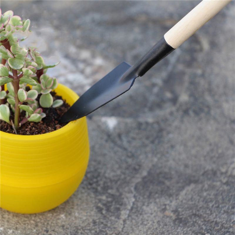3pcs 미니 정원 삽 레이크 스페이드 Erramien - Bonsai Garden Rake 리뷰 및 가격