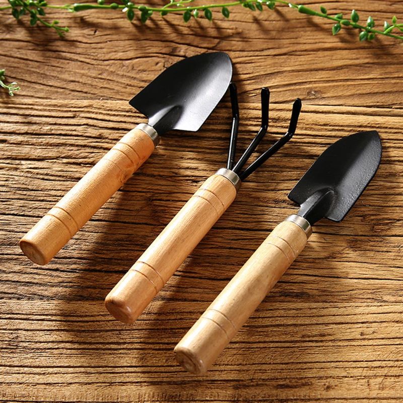 3pcs 미니 정원 삽 레이크 스페이드 Erramien - Bonsai Garden Rake 리뷰 및 가격