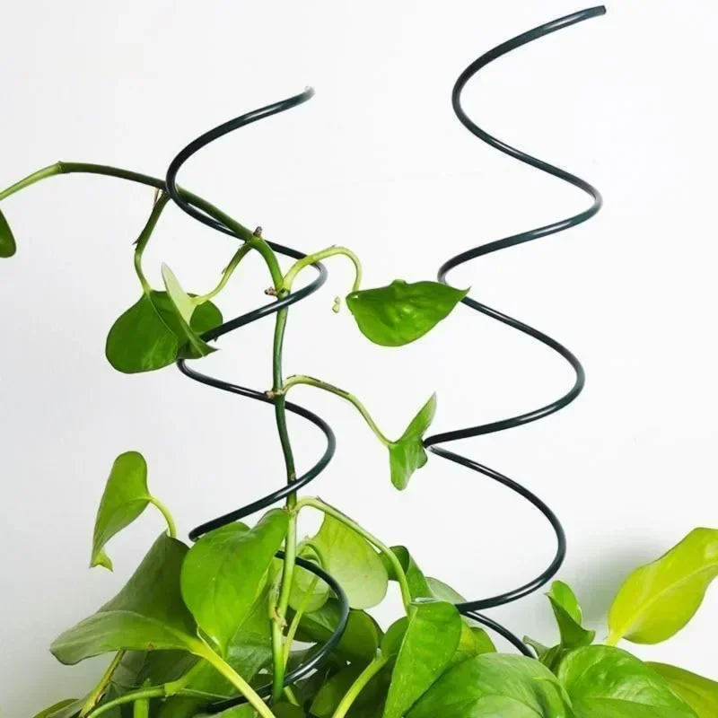 등반식물 지지대 스탠드, 덩굴식물 랙, 토마토 나선형  - Bonsai Garden Stand 리뷰 및 가격