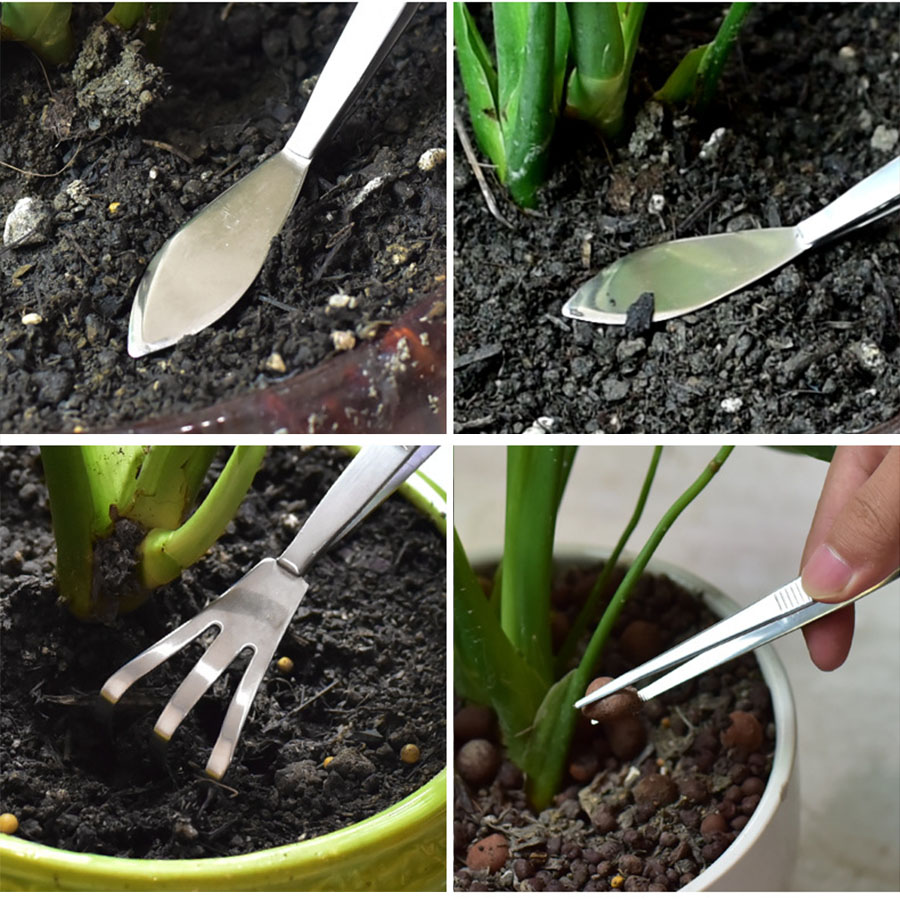 2-in-1 304 스테인레스 스틸 전문 루트 레이크( - Bonsai Garden Rake 리뷰 및 가격