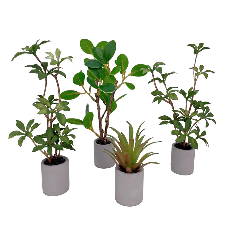 1:6 인형의 집 미니어처 화분 모델, 녹색 잎 식물  - Bonsai Garden Miniature 리뷰 및 가격