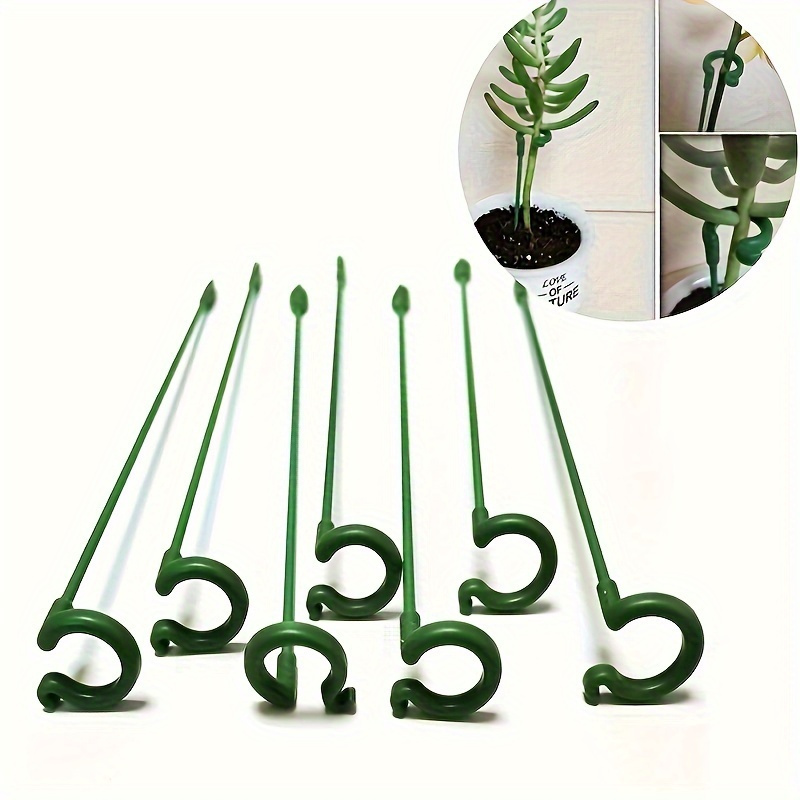 6개입 녹색 플라스틱 식물 지지대(후크 포함) 재사용  - Bonsai Garden Stand 리뷰 및 가격