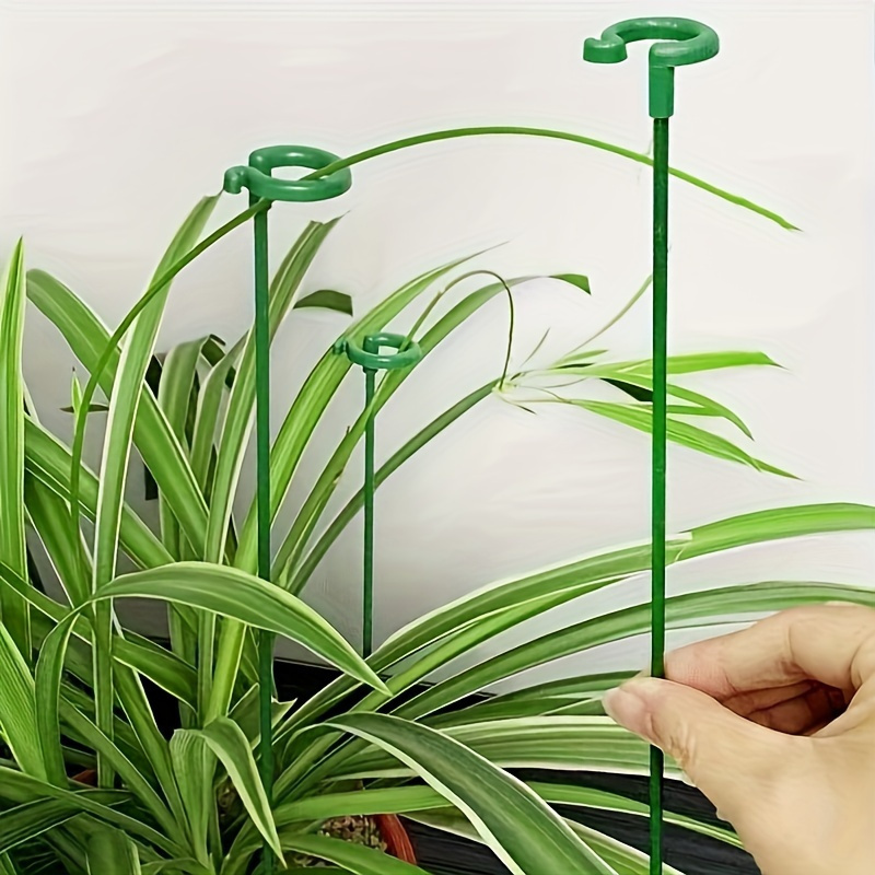 6개입 녹색 플라스틱 식물 지지대(후크 포함) 재사용  - Bonsai Garden Stand 리뷰 및 가격