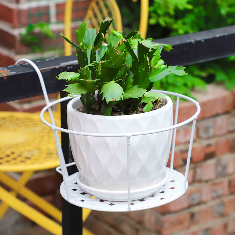 1PC 정원용 화분 야외 창문 분재 스탠드 장식 원형  - Bonsai Garden Stand 리뷰 및 가격