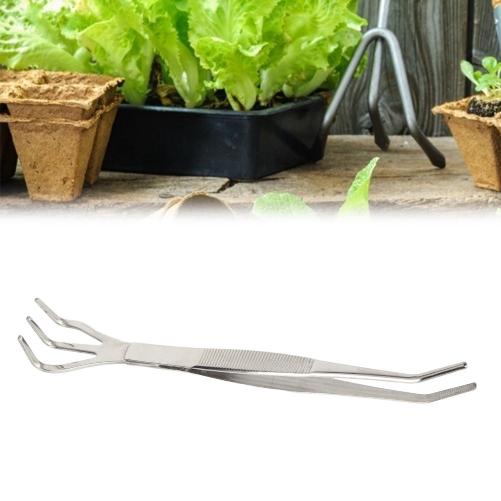 내구성이 뛰어난 2 in 1 분재 갈퀴 스테인리스 스틸 - Bonsai Garden Rake 리뷰 및 가격