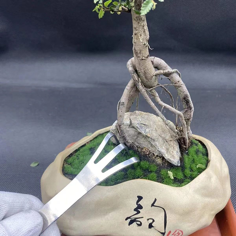 1Pc 스테인레스 스틸 루트 레이크 분재 화분에 심은  - Bonsai Garden Rake 리뷰 및 가격