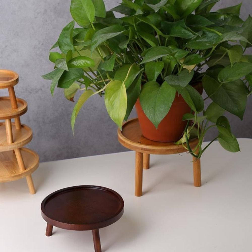 단단한 창의적인 다육식물 화분 홀더 홈 데코 정원 화분 - Bonsai Garden Stand 리뷰 및 가격