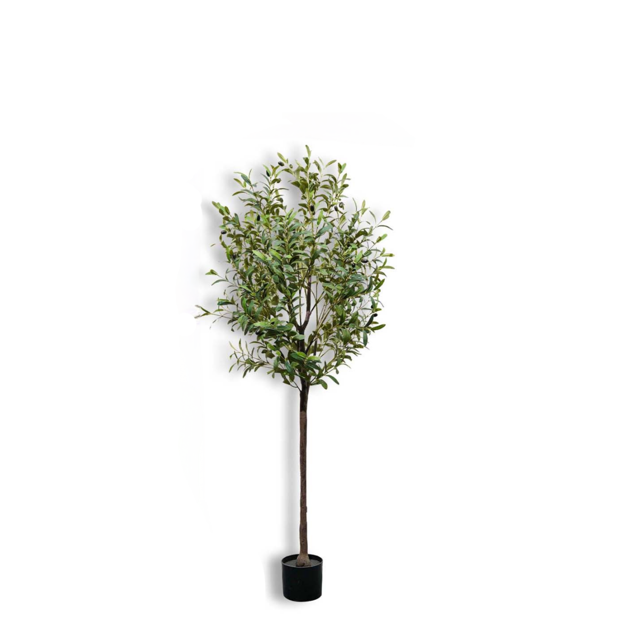 150cm/59인치 인조 올리브 나무, 검은색 화분 포 - Bonsai Garden Sushi 리뷰 및 가격