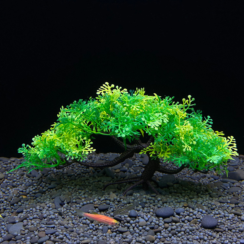 수족관 분재, 식물, 어항 장식, 인조 식물, 꽃 장식 - Bonsai Garden Sushi 리뷰 및 가격