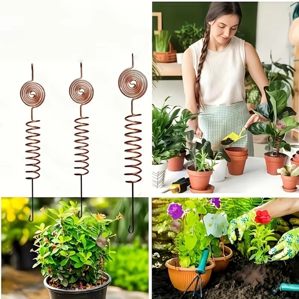 3PCS 구리 전기 배양 식물 지지대 다목적 내구성 있 - Bonsai Garden Stand 리뷰 및 가격