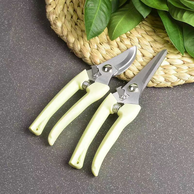 스테인레스 스틸 정원용 가지치기 가위 스프링 장착 식물 - Bonsai Garden Rake 리뷰 및 가격