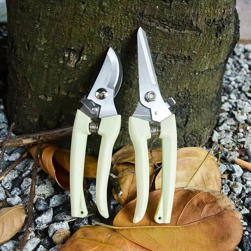 스테인레스 스틸 정원용 가지치기 가위 스프링 장착 식물 - Bonsai Garden Rake 리뷰 및 가격