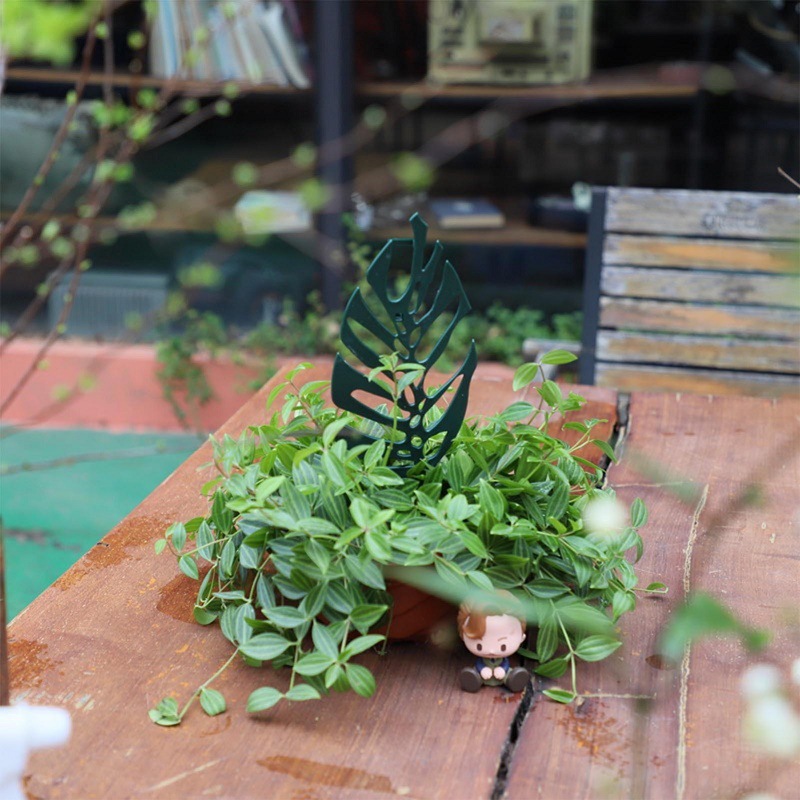 식물 등반 지원 스탠드 꽃 고정 격자 원예 화분 분재  - Bonsai Garden Stand 리뷰 및 가격